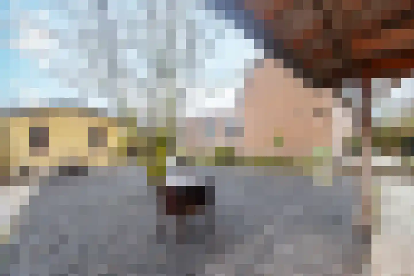Waaldijk 31 Hurwenen thumbnail 51