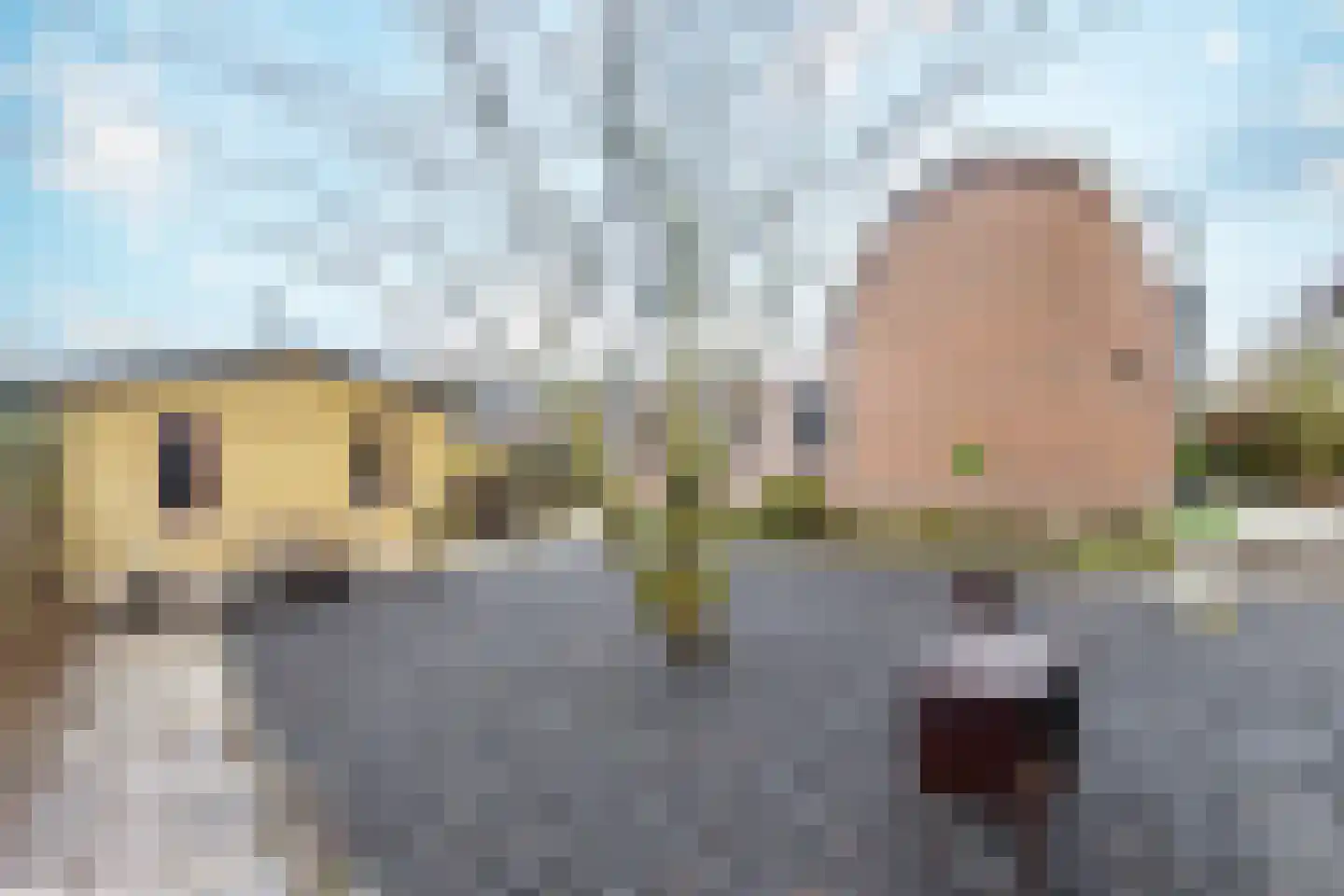 Waaldijk 31 Hurwenen thumbnail 52