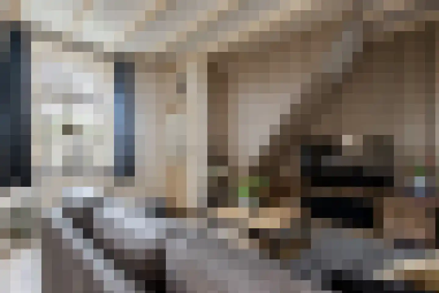 Waaldijk 31 Hurwenen thumbnail 6