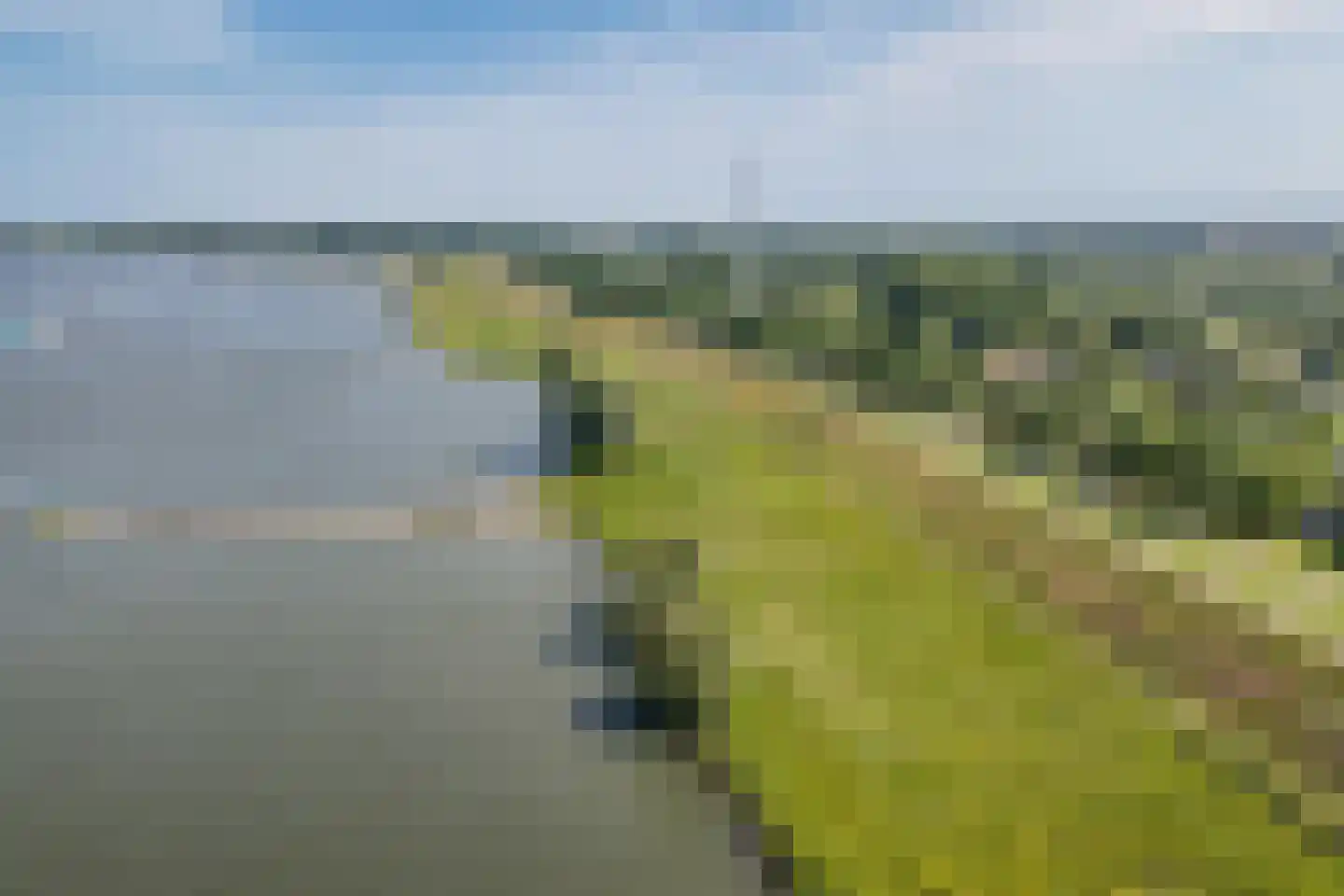 Waaldijk 31 Hurwenen thumbnail 66