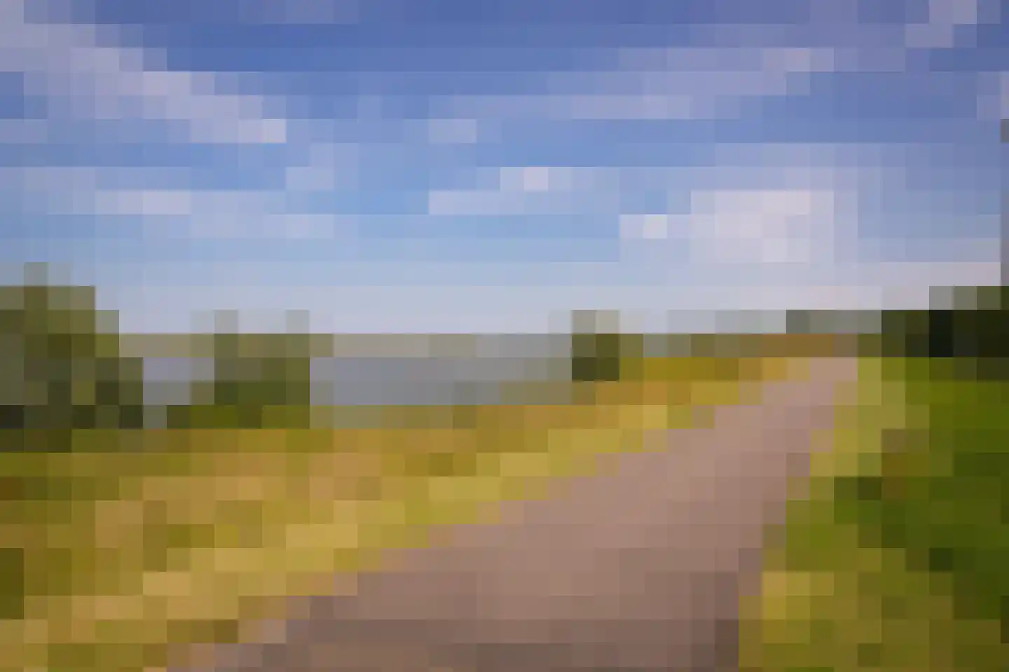 Waaldijk 31 Hurwenen thumbnail 67