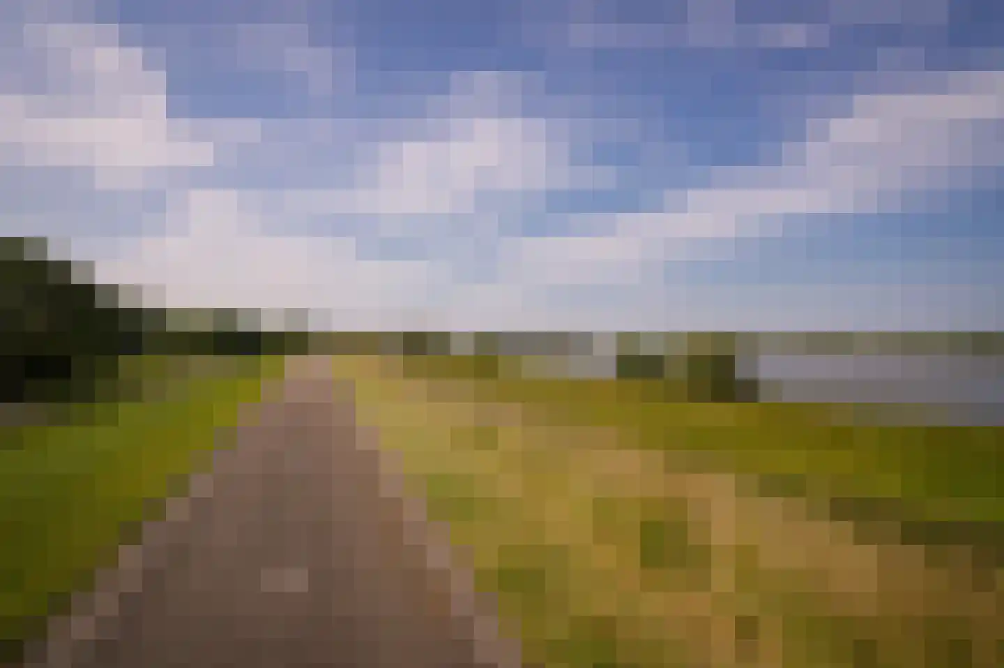 Waaldijk 31 Hurwenen thumbnail 68