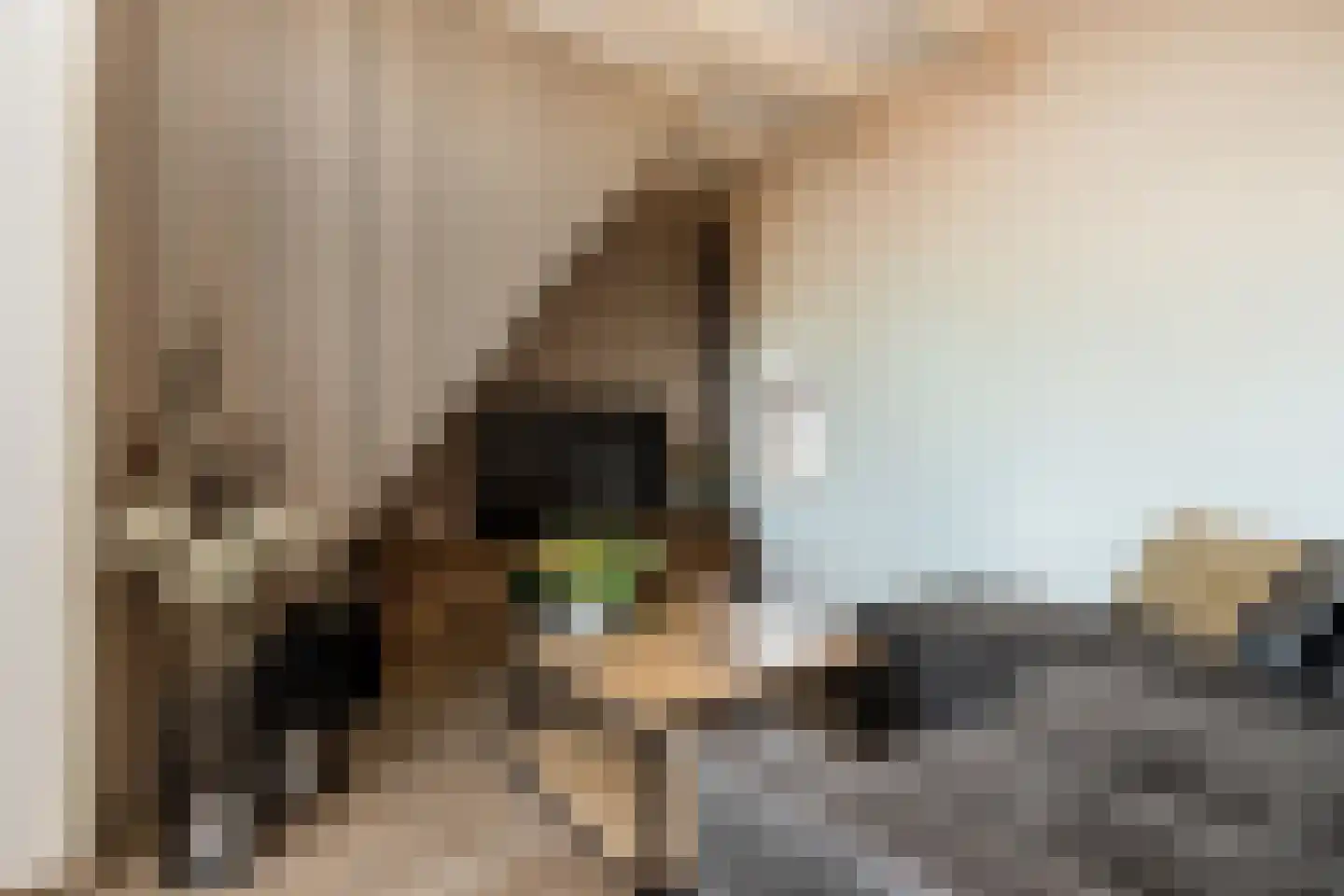 Waaldijk 31 Hurwenen thumbnail 7