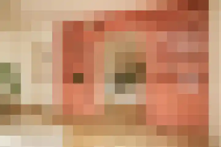 Waaldijk 32 Dreumel thumbnail 16
