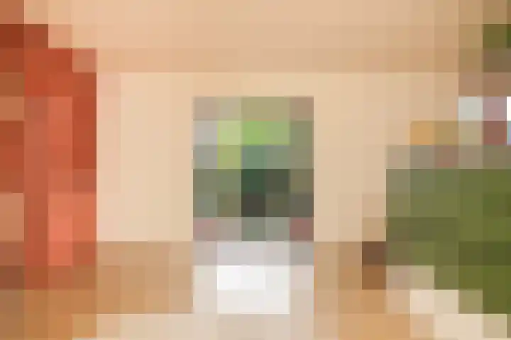 Waaldijk 32 Dreumel thumbnail 18