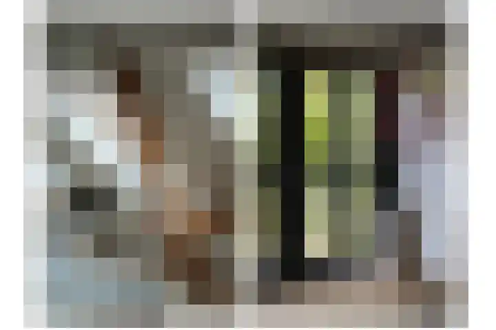 Waaldijk 32 Dreumel thumbnail 28