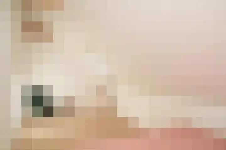 Waaldijk 32 Dreumel thumbnail 37