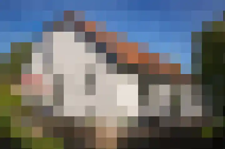 Waaldijk 32 Dreumel thumbnail 39