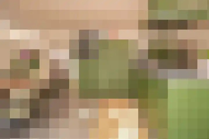 Waaldijk 32 Dreumel thumbnail 4