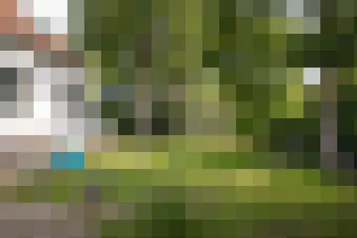Waaldijk 32 Dreumel thumbnail 41