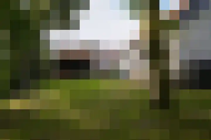 Waaldijk 32 Dreumel thumbnail 43