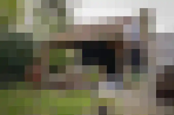 Waaldijk 32 Dreumel thumbnail 44