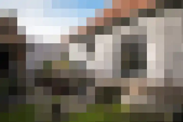 Waaldijk 32 Dreumel thumbnail 47
