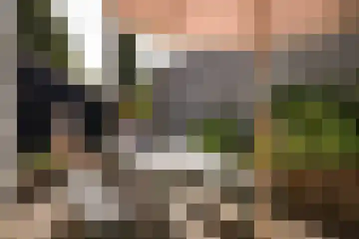 Waaldijk 32 Dreumel thumbnail 48