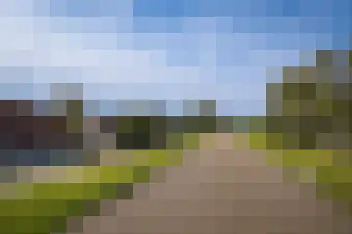 Waaldijk 32 Dreumel thumbnail 54