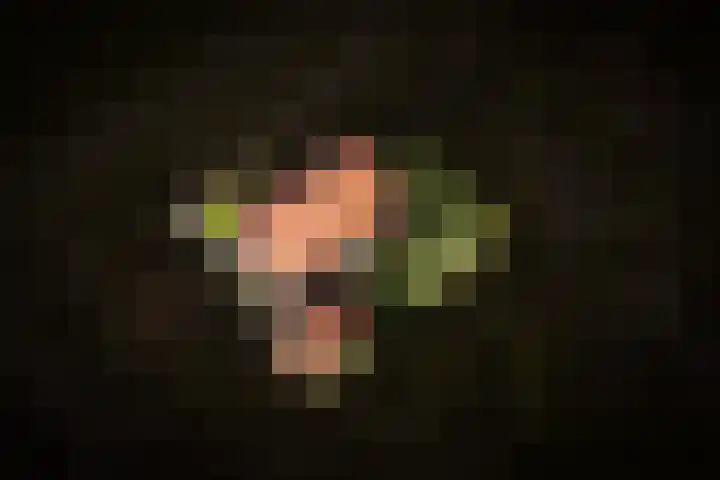 Waaldijk 32 Dreumel thumbnail 56