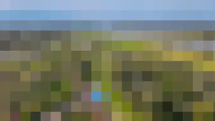 Waaldijk 32 Dreumel thumbnail 58