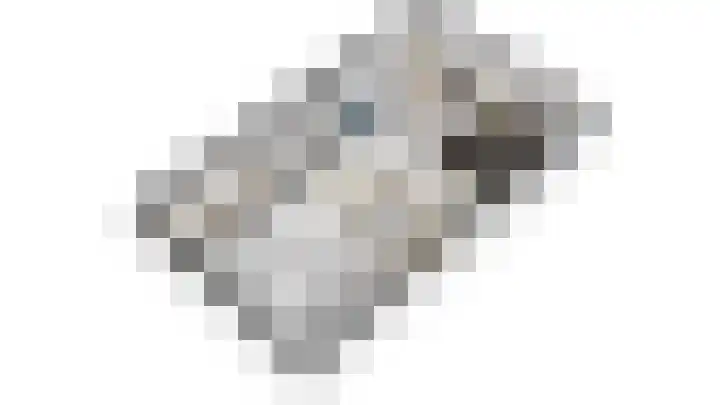 Waaldijk 32 Dreumel thumbnail 62
