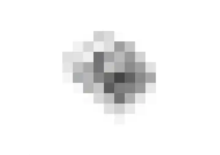Waaldijk 32 Dreumel thumbnail 64