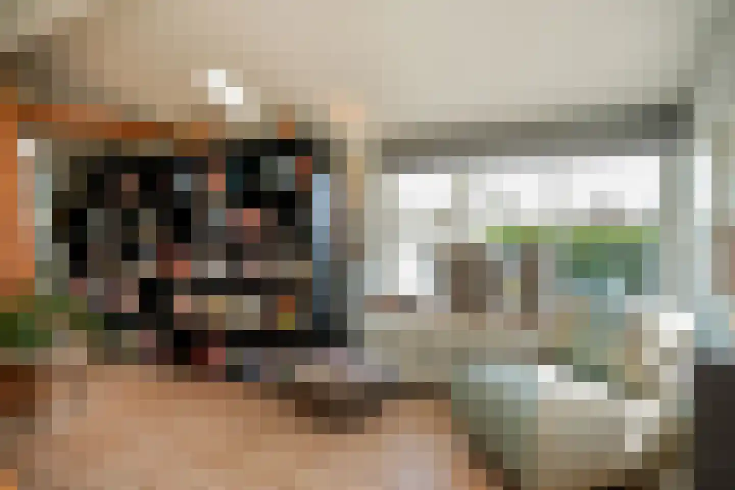 Waaldijk 37 Dreumel thumbnail 11