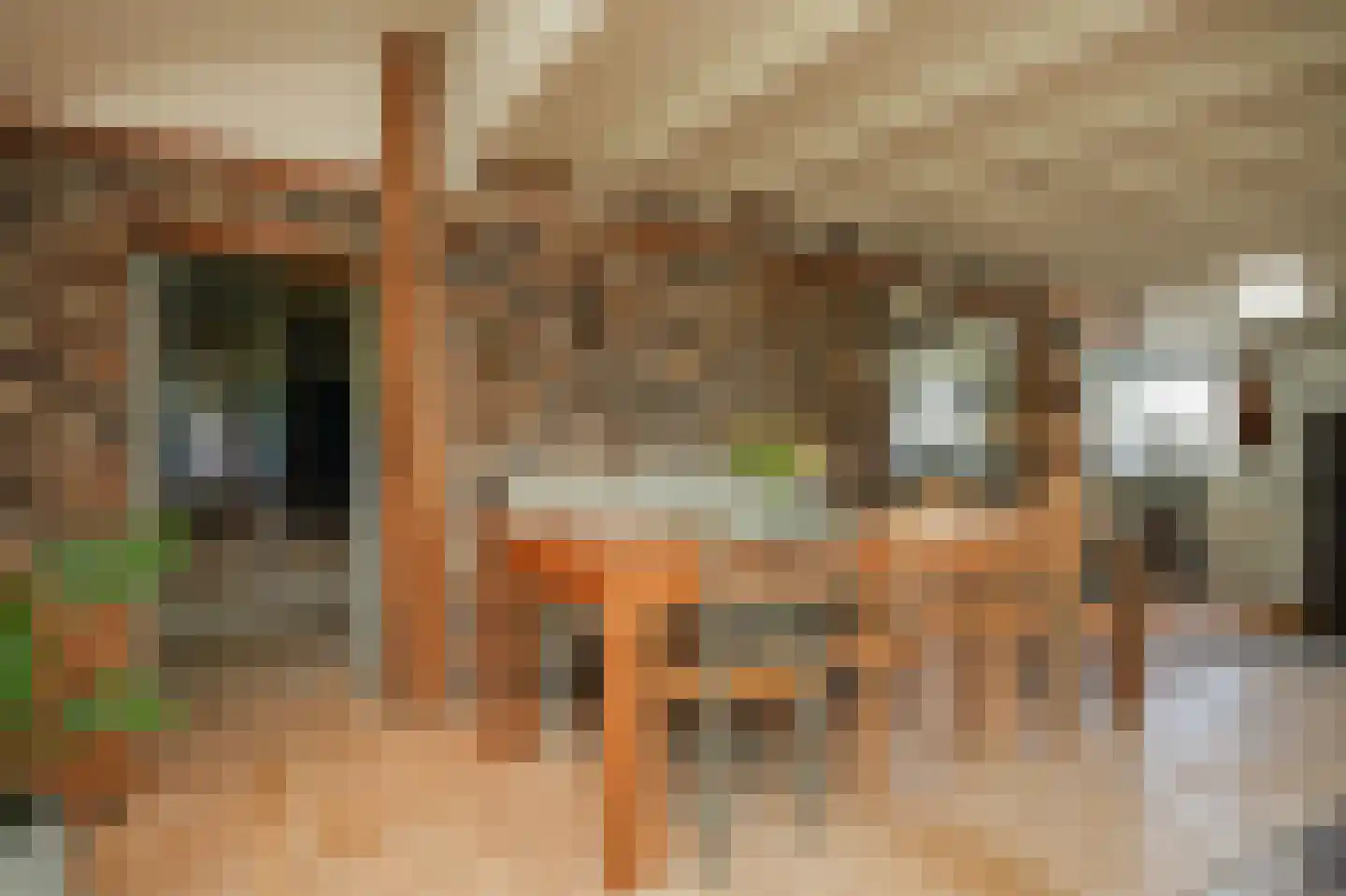 Waaldijk 37 Dreumel thumbnail 12