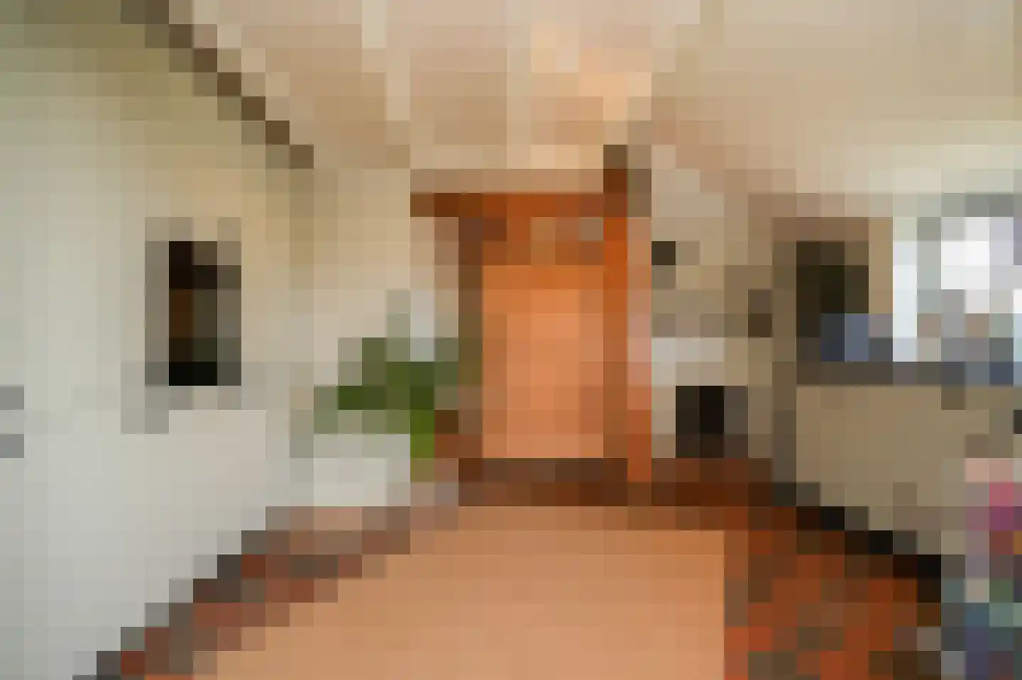 Waaldijk 37 Dreumel thumbnail 16