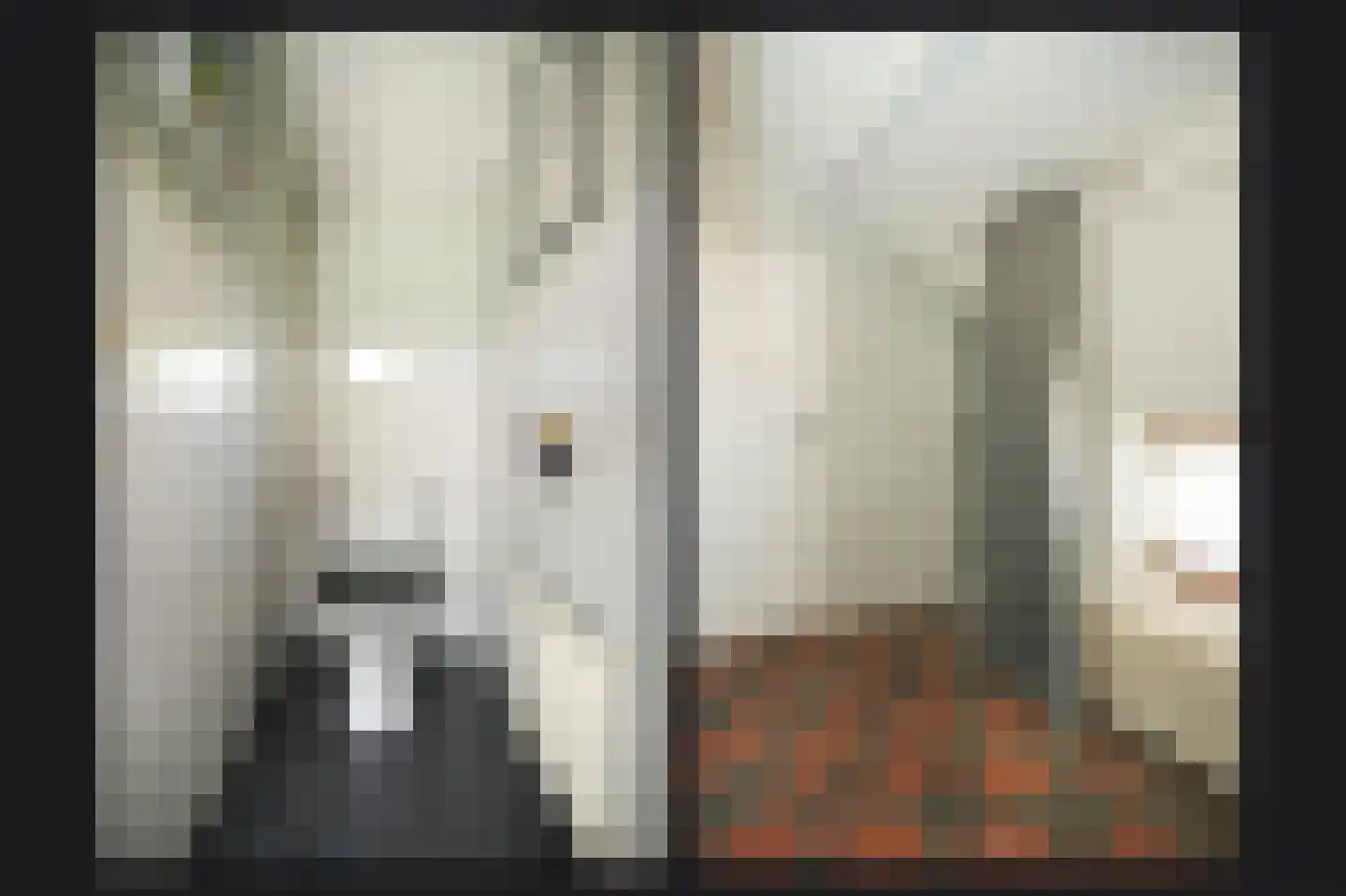Waaldijk 37 Dreumel thumbnail 19
