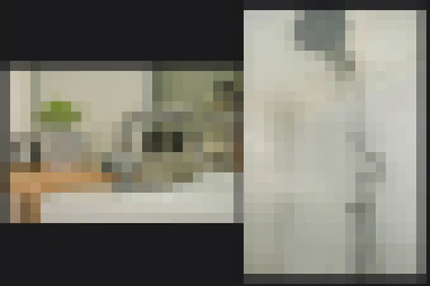 Waaldijk 37 Dreumel thumbnail 21