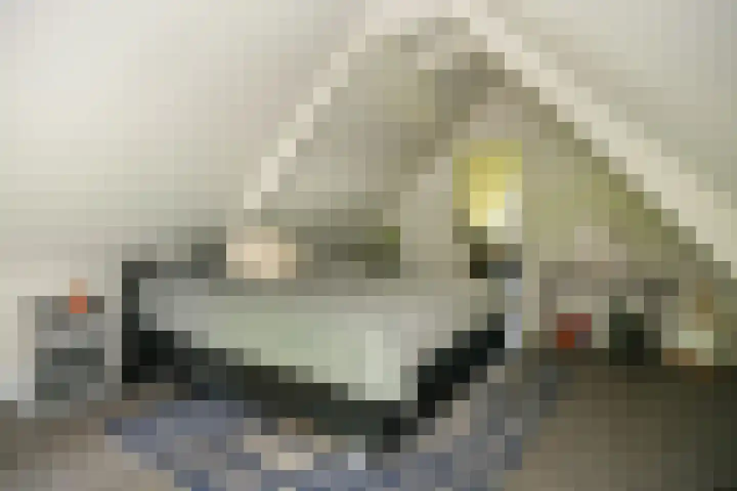 Waaldijk 37 Dreumel thumbnail 23