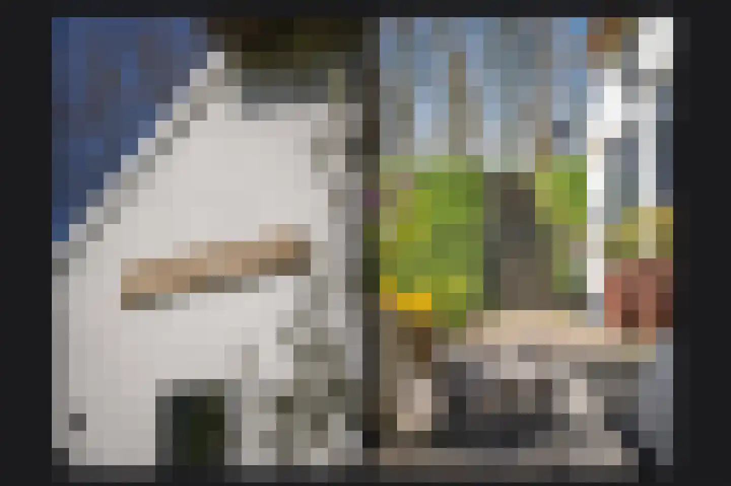 Waaldijk 37 Dreumel thumbnail 34