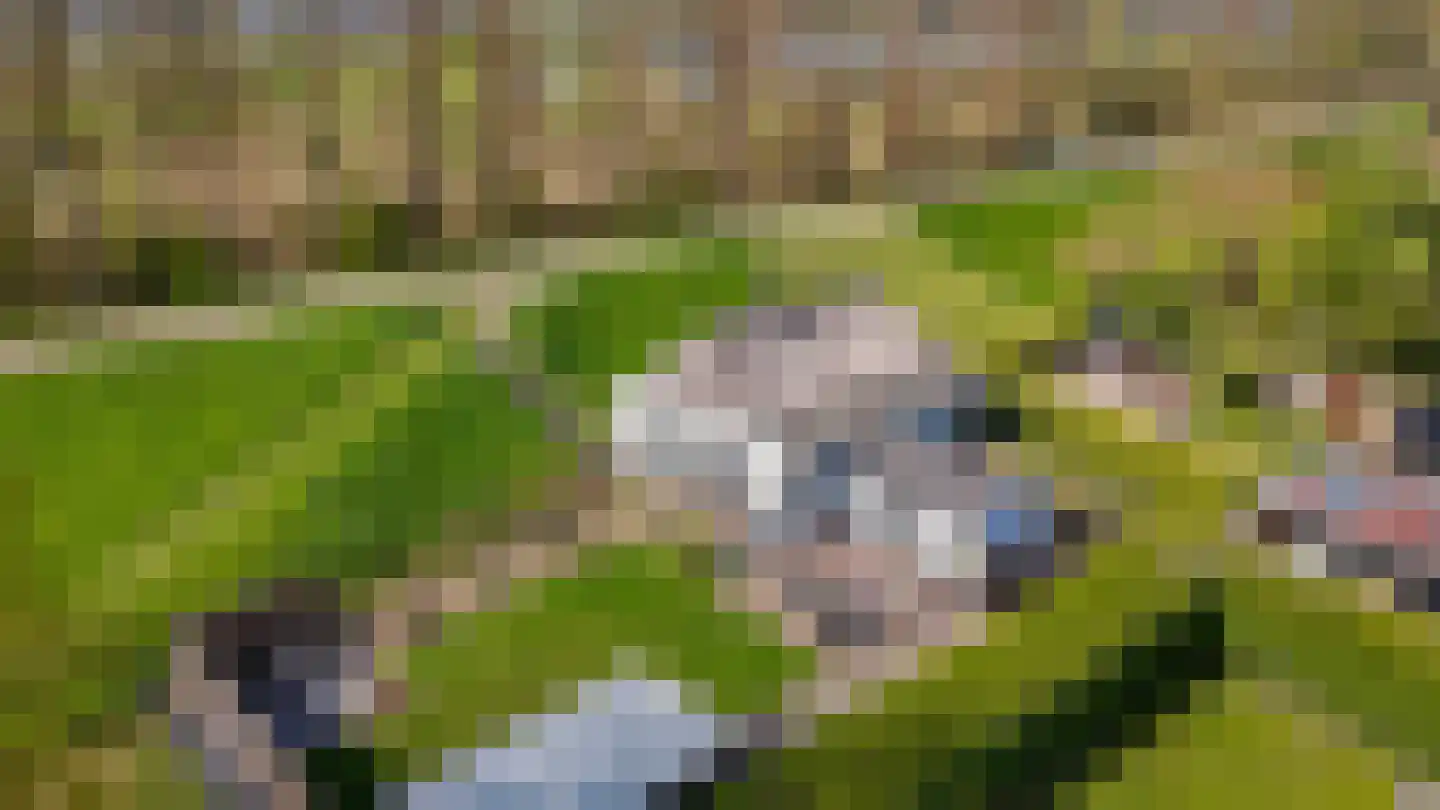 Waaldijk 37 Dreumel thumbnail 48
