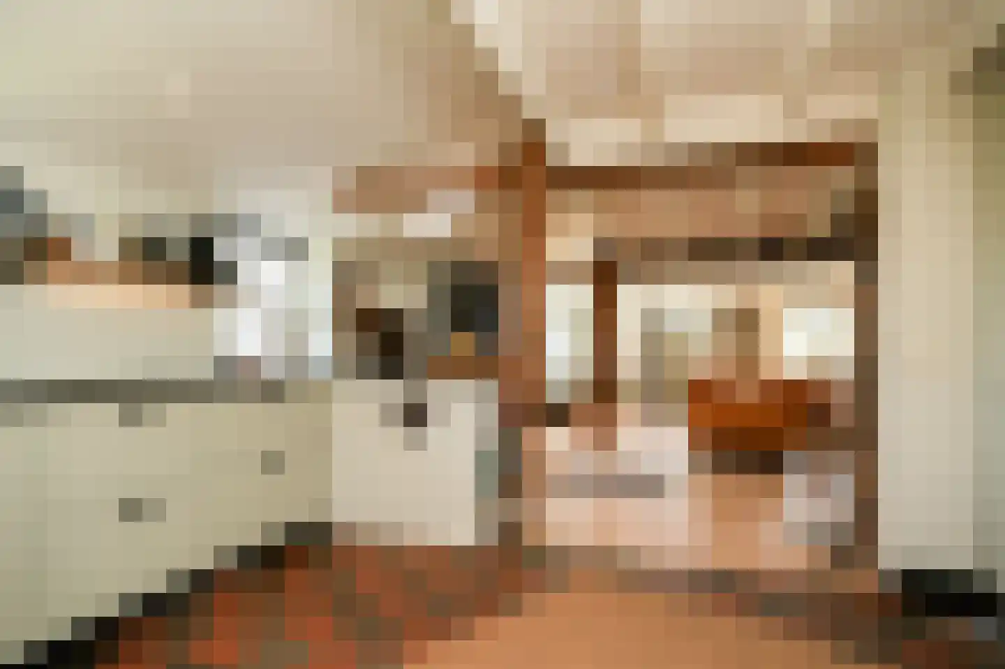 Waaldijk 37 Dreumel thumbnail 5