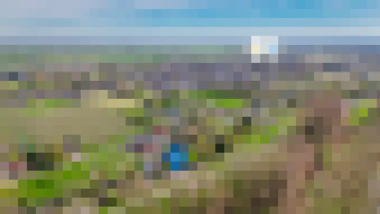 Waaldijk 37 Dreumel thumbnail 52