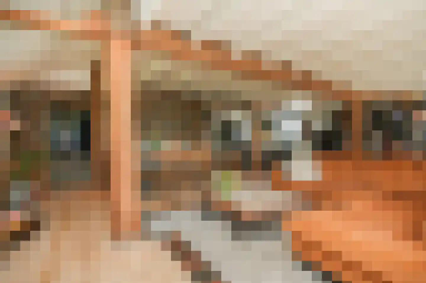 Waaldijk 37 Dreumel thumbnail 7