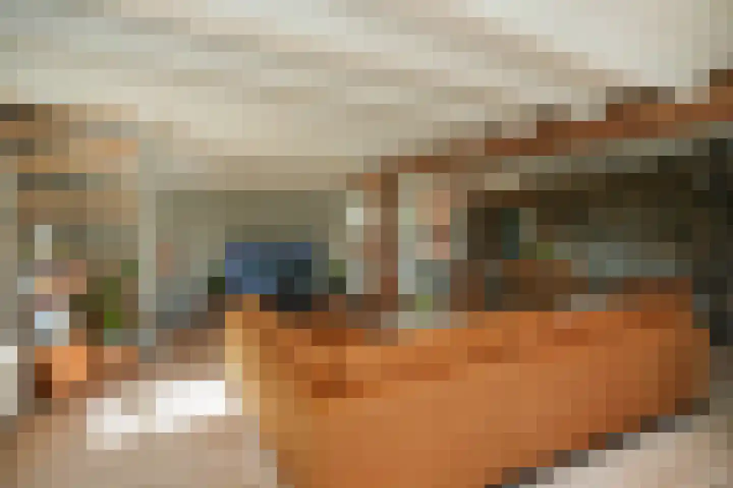 Waaldijk 37 Dreumel thumbnail 8