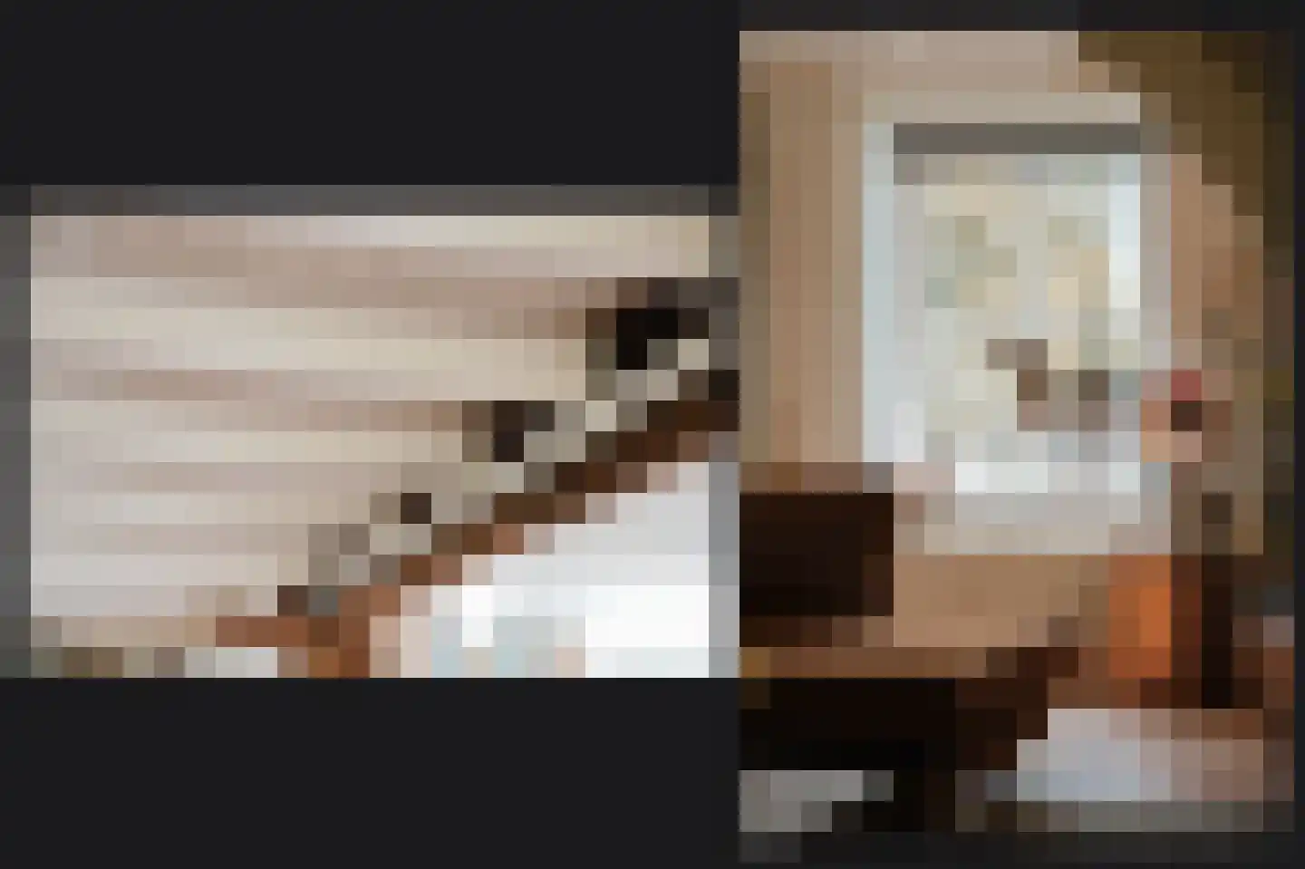 Waaldijk 37 Dreumel thumbnail 9