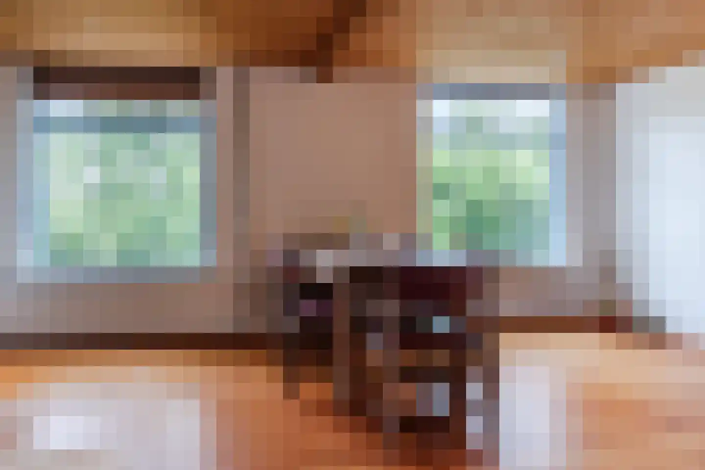 Waaldijk 38 Herwijnen thumbnail 10