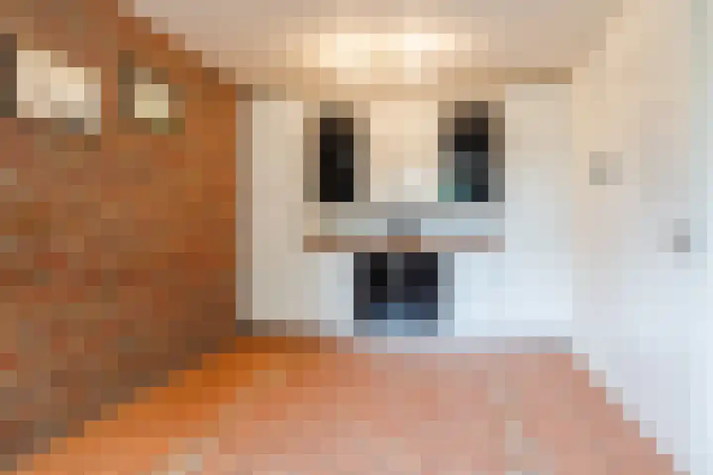 Waaldijk 38 Herwijnen thumbnail 13