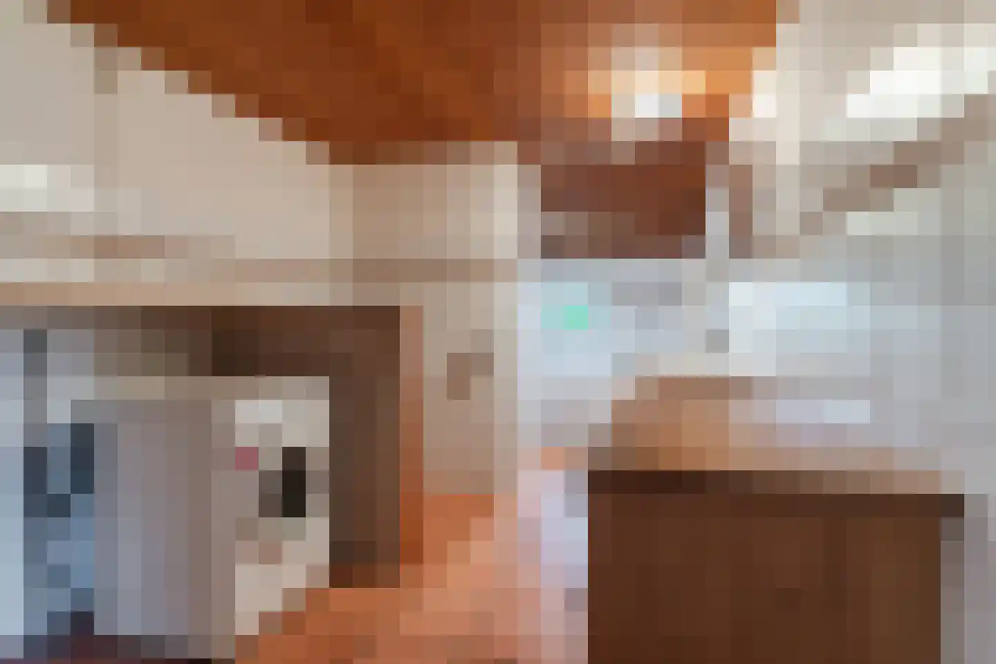 Waaldijk 38 Herwijnen thumbnail 18