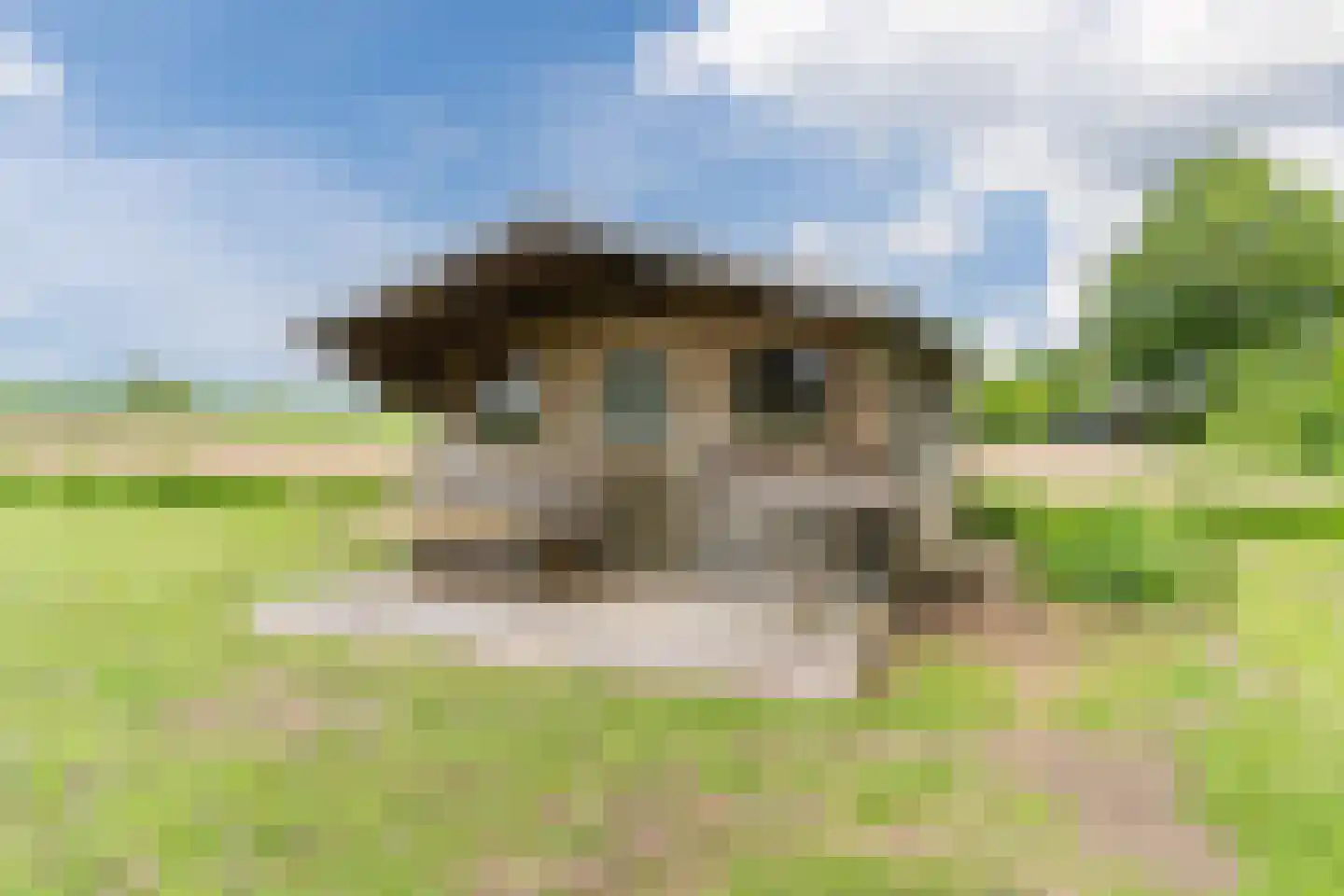 Waaldijk 38 Herwijnen thumbnail 33