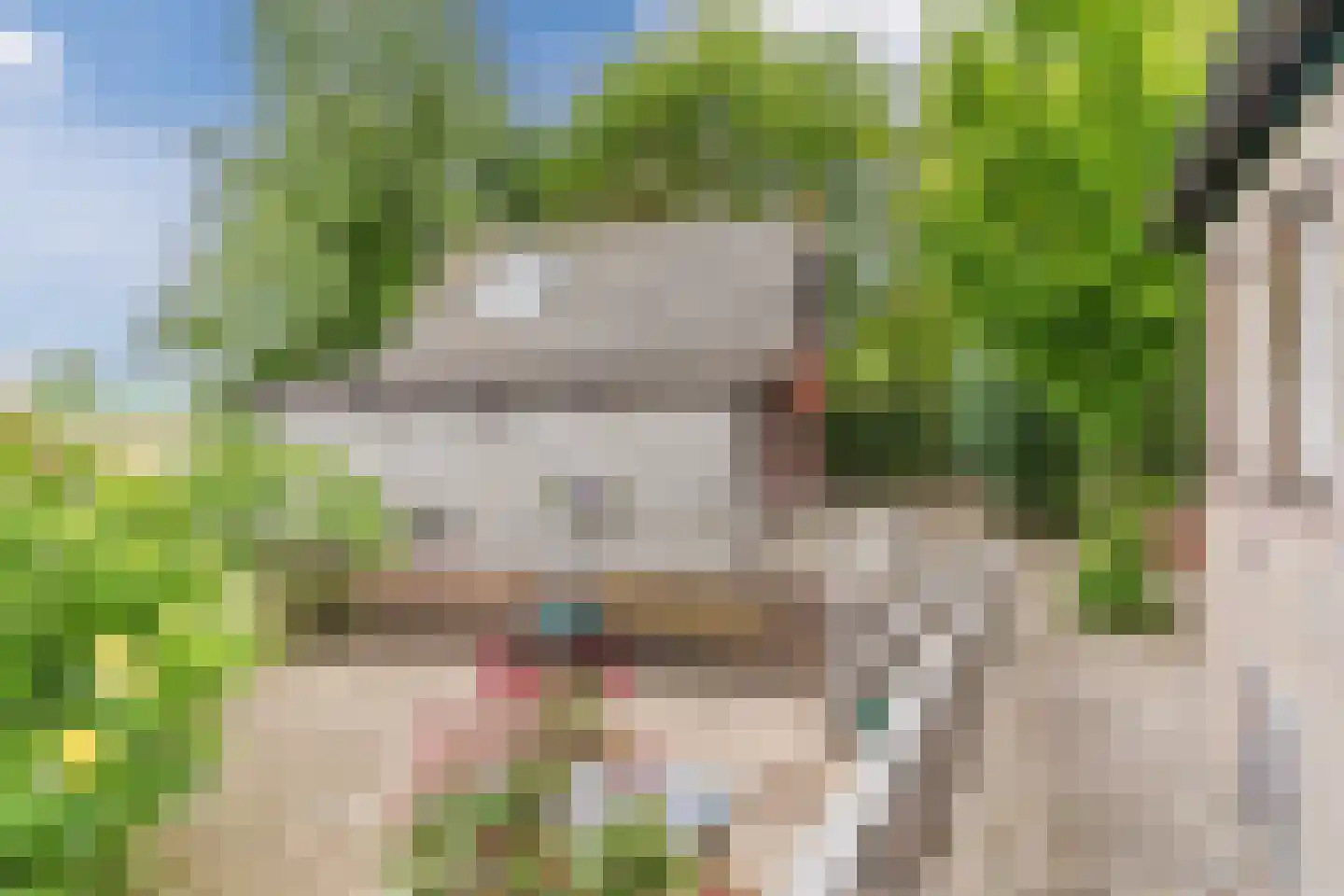 Waaldijk 38 Herwijnen thumbnail 37