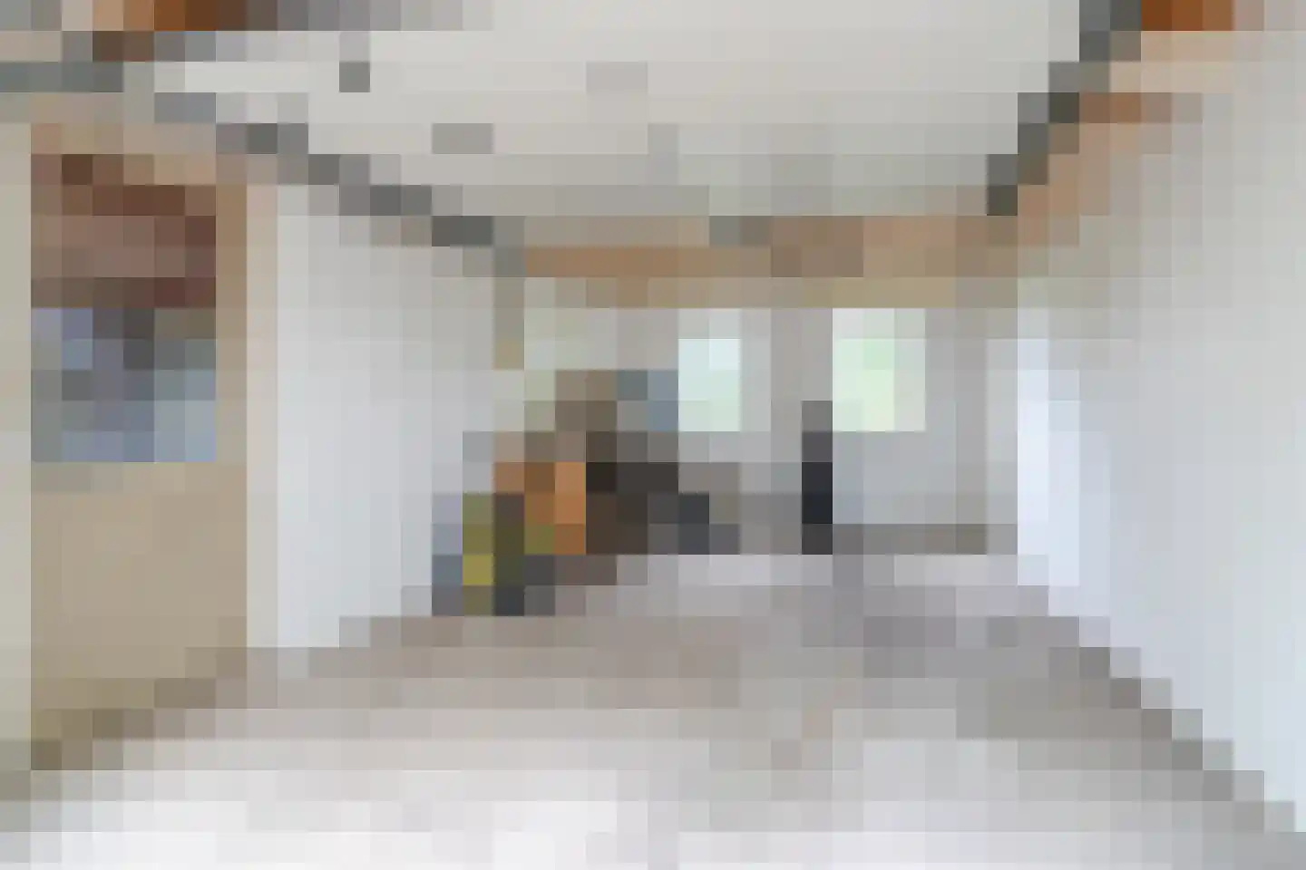 Waaldijk 38 Herwijnen thumbnail 40