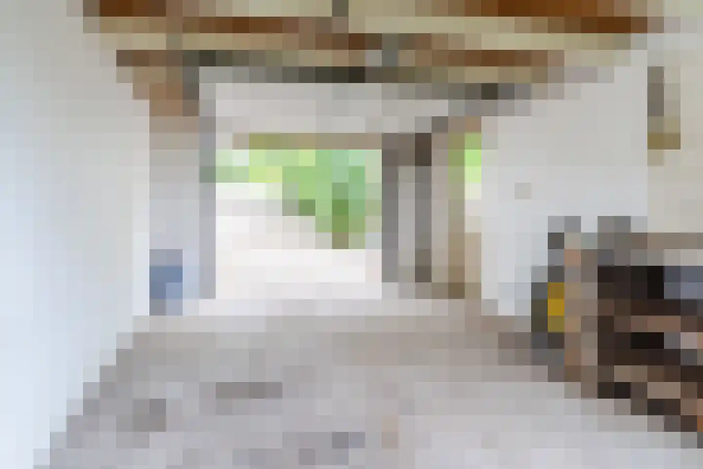 Waaldijk 38 Herwijnen thumbnail 41