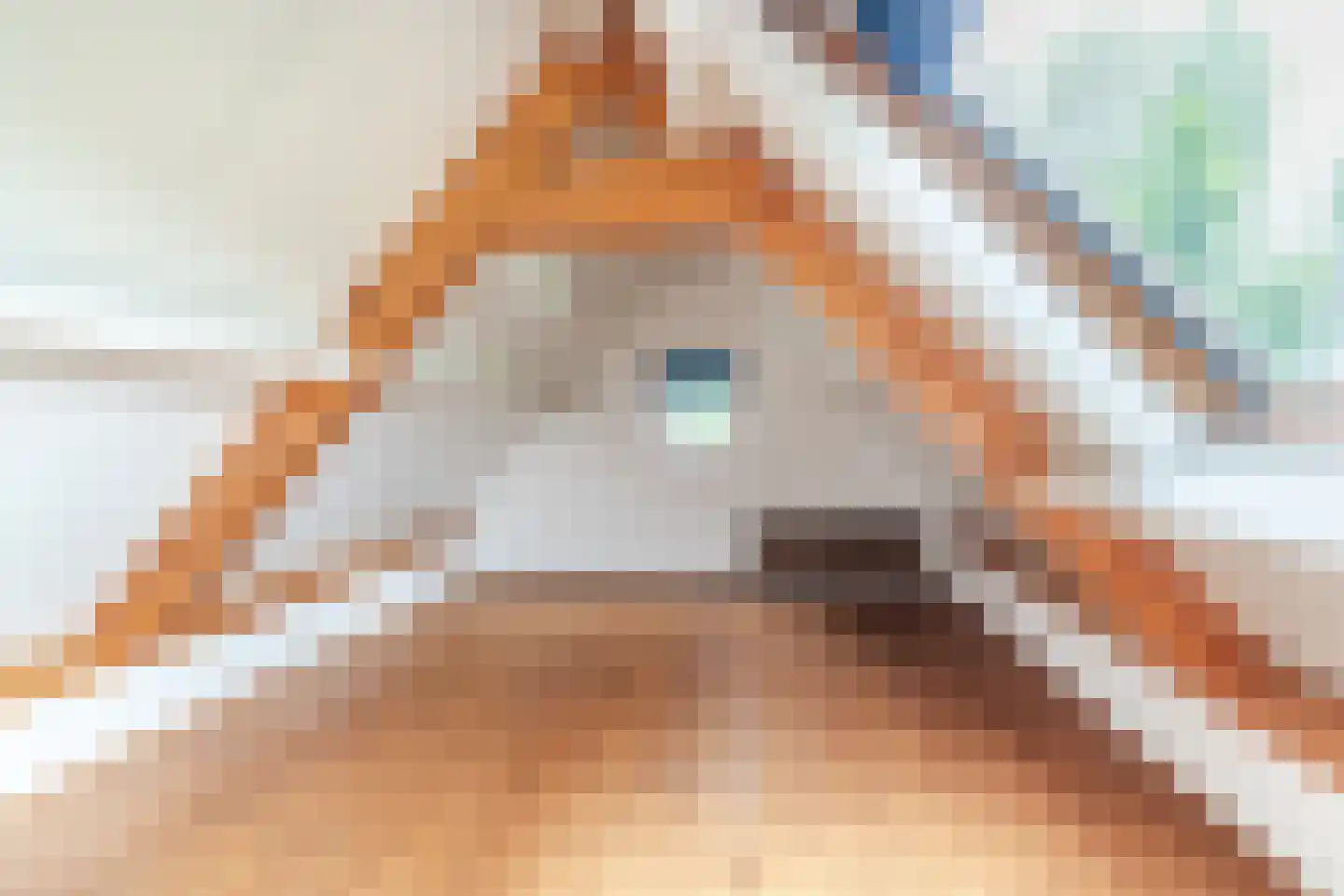Waaldijk 38 Herwijnen thumbnail 43