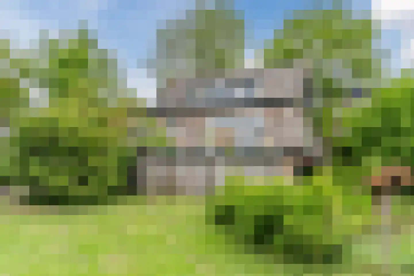 Waaldijk 38 Herwijnen thumbnail 45