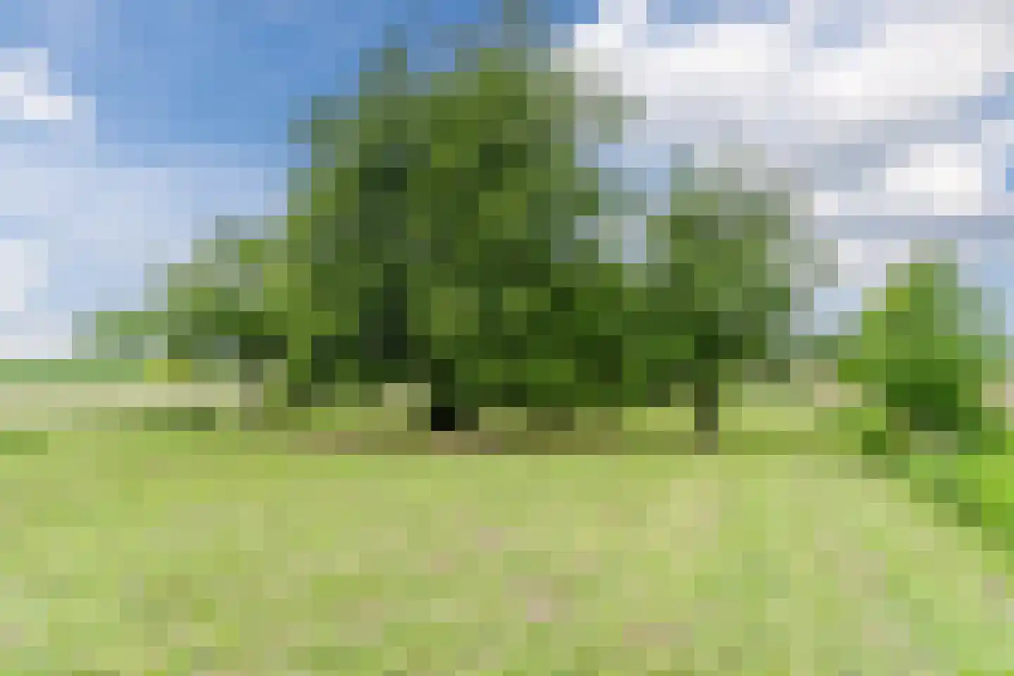 Waaldijk 38 Herwijnen thumbnail 47