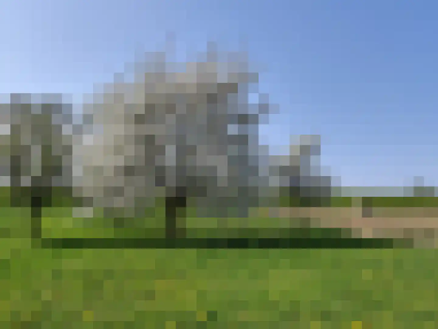 Waaldijk 38 Herwijnen thumbnail 48