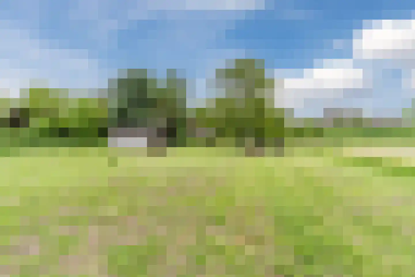Waaldijk 38 Herwijnen thumbnail 49