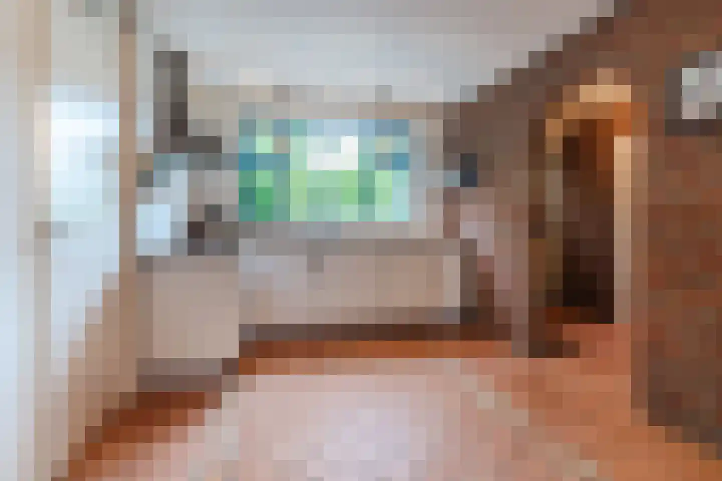 Waaldijk 38 Herwijnen thumbnail 5