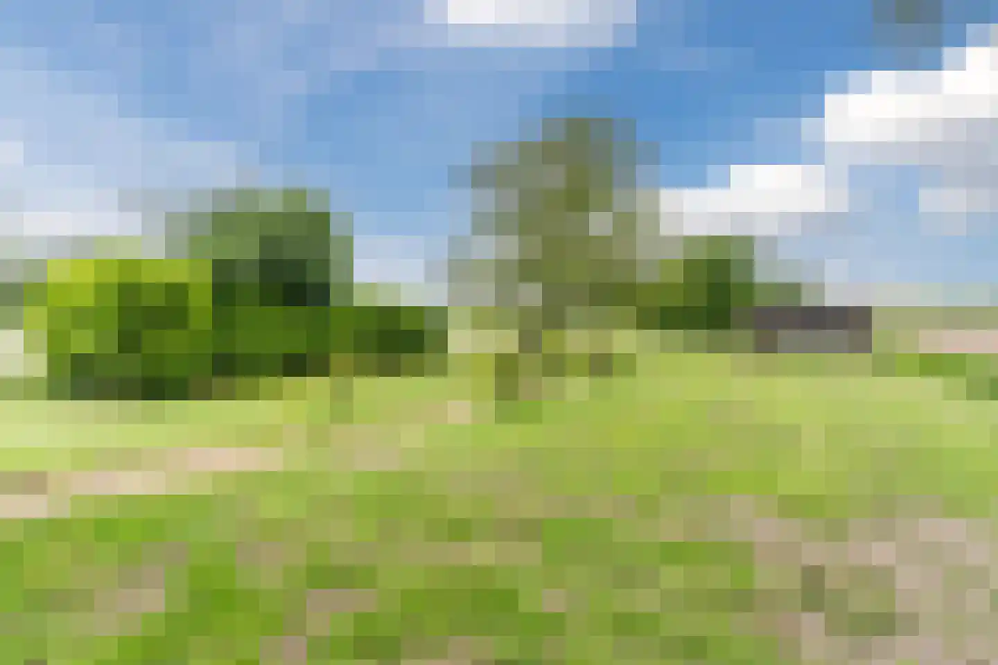 Waaldijk 38 Herwijnen thumbnail 50